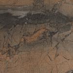 SCENIC WOOD OUTDOOR TILES 60X90